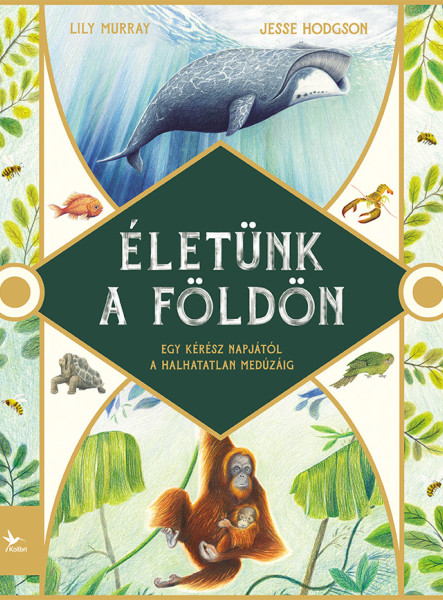 ÉLETÜNK A FÖLDÖN