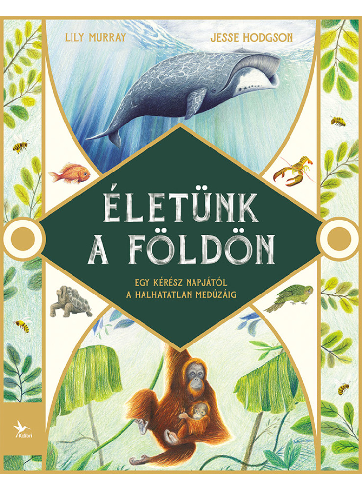 ÉLETÜNK A FÖLDÖN ÉLETÜNK A FÖLDÖN