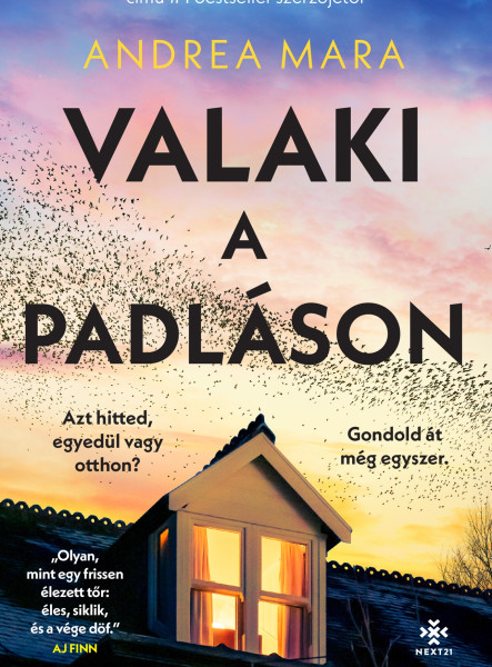 VALAKI A PADLÁSON