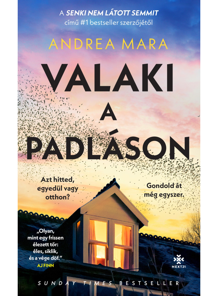 VALAKI A PADLÁSON
