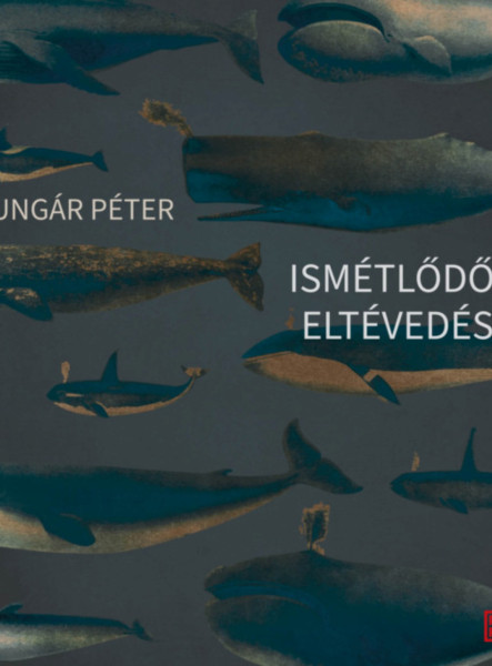 ISMÉTLŐDŐ ELTÉVEDÉS