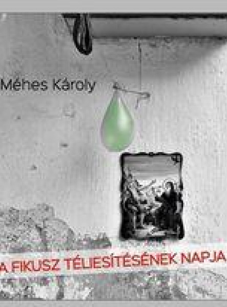A FIKUSZ TÉLIESÍTÉSÉNEK NAPJA