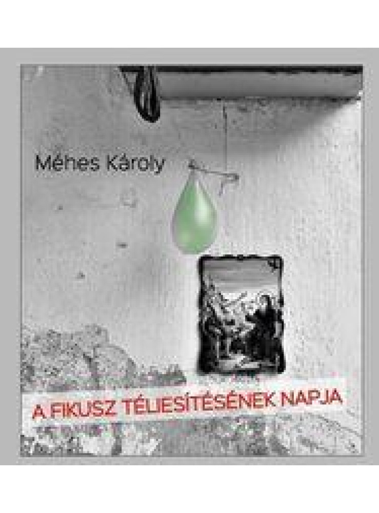 A FIKUSZ TÉLIESÍTÉSÉNEK NAPJA A FIKUSZ TÉLIESÍTÉSÉNEK NAPJA