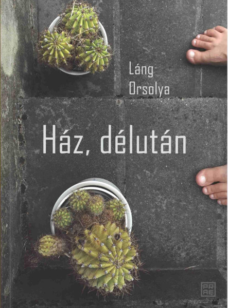 HÁZ, DÉLUTÁN