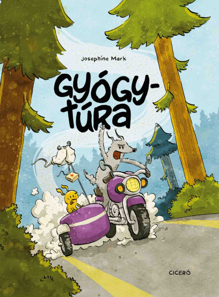 GYÓGYTÚRA