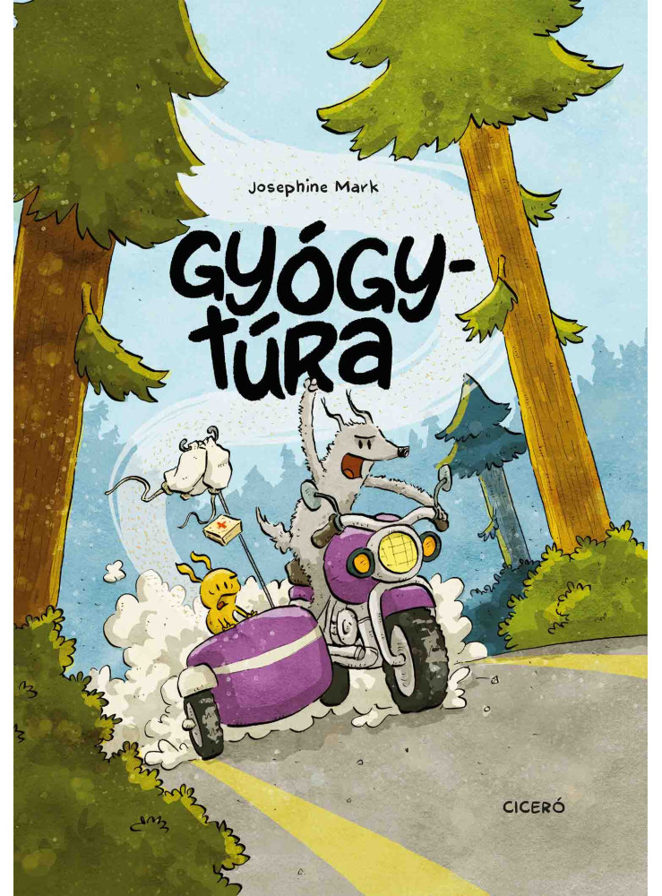 GYÓGYTÚRA
