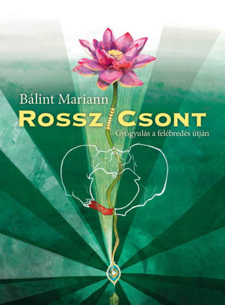 ROSSZ/CSONT - GYÓGYULÁS A FELÉBREDÉS ÚTJÁN