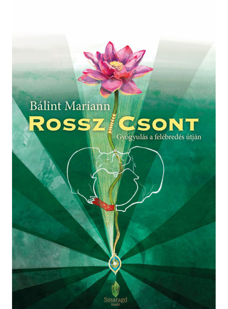 ROSSZ/CSONT - GYÓGYULÁS A FELÉBREDÉS ÚTJÁN ROSSZ/CSONT - GYÓGYULÁS A FELÉBREDÉS ÚTJÁN