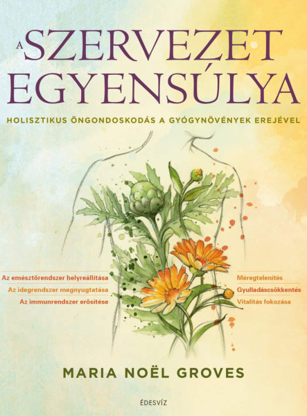 A SZERVEZET EGYENSÚLYA