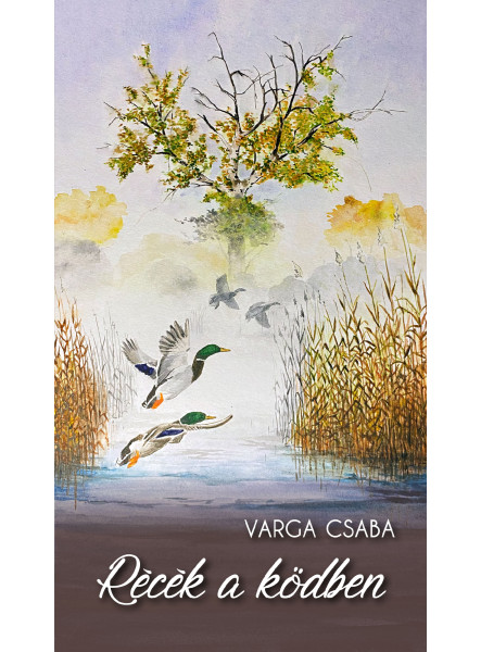 RÉCÉK A KÖDBEN RÉCÉK A KÖDBEN