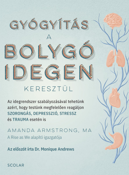 GYÓGYÍTÁS A BOLYGÓIDEGEN KERESZTÜL