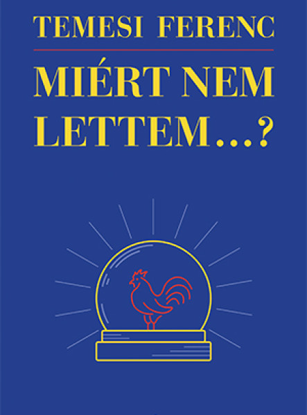 MIÉRT NEM LETTEM...?