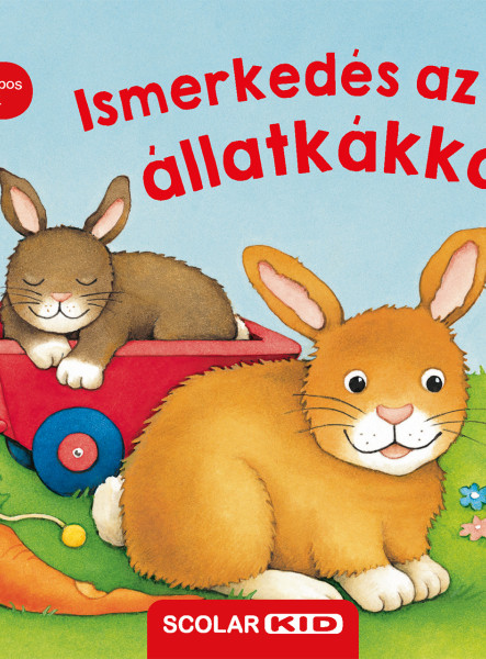 ISMERKEDÉS AZ ÁLLATKÁKKAL
