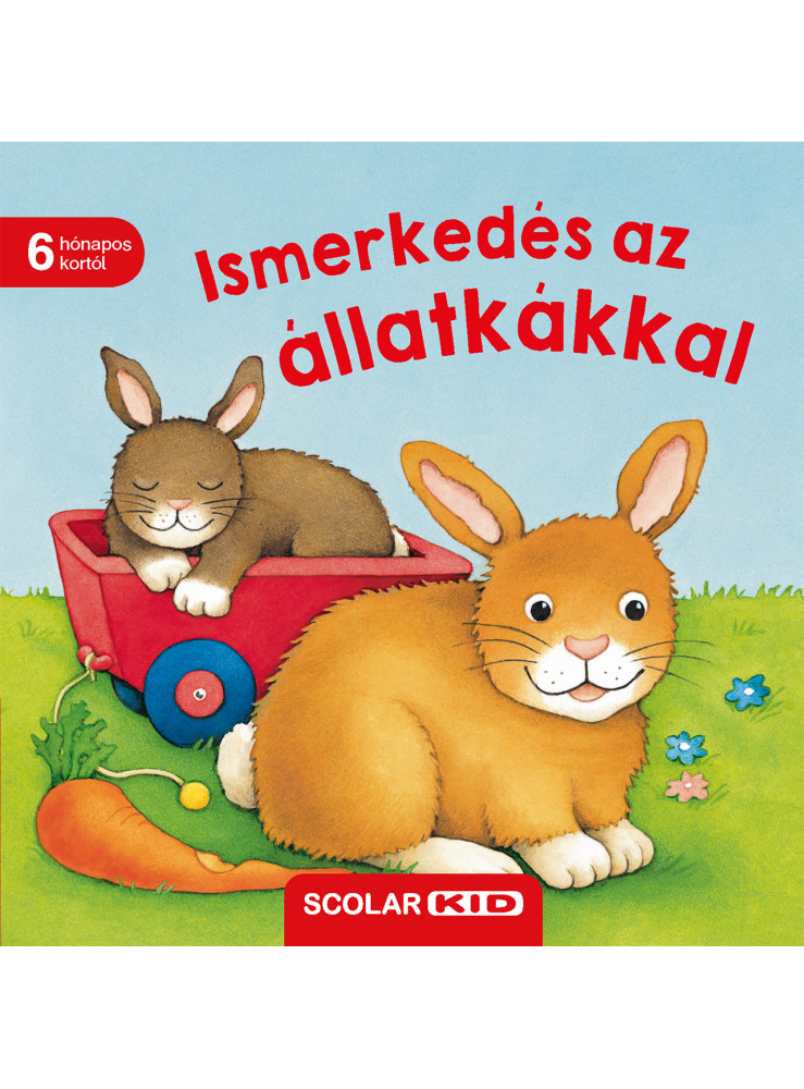 ISMERKEDÉS AZ ÁLLATKÁKKAL