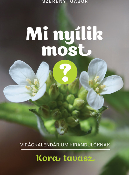 MI NYÍLIK MOST? - KORA TAVASZ (VIRÁGKALENDÁRIUM KIRÁNDULÓKNAK)