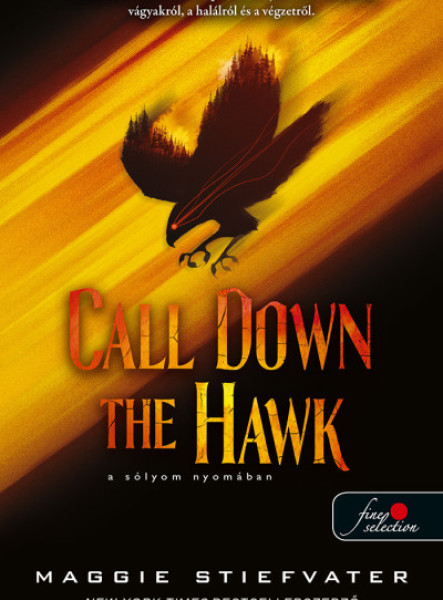 CALL DOWN THE HAWK - A SĂLYOM NYOMĂBAN (ĂLMODOK-TRILĂGIA 1.)