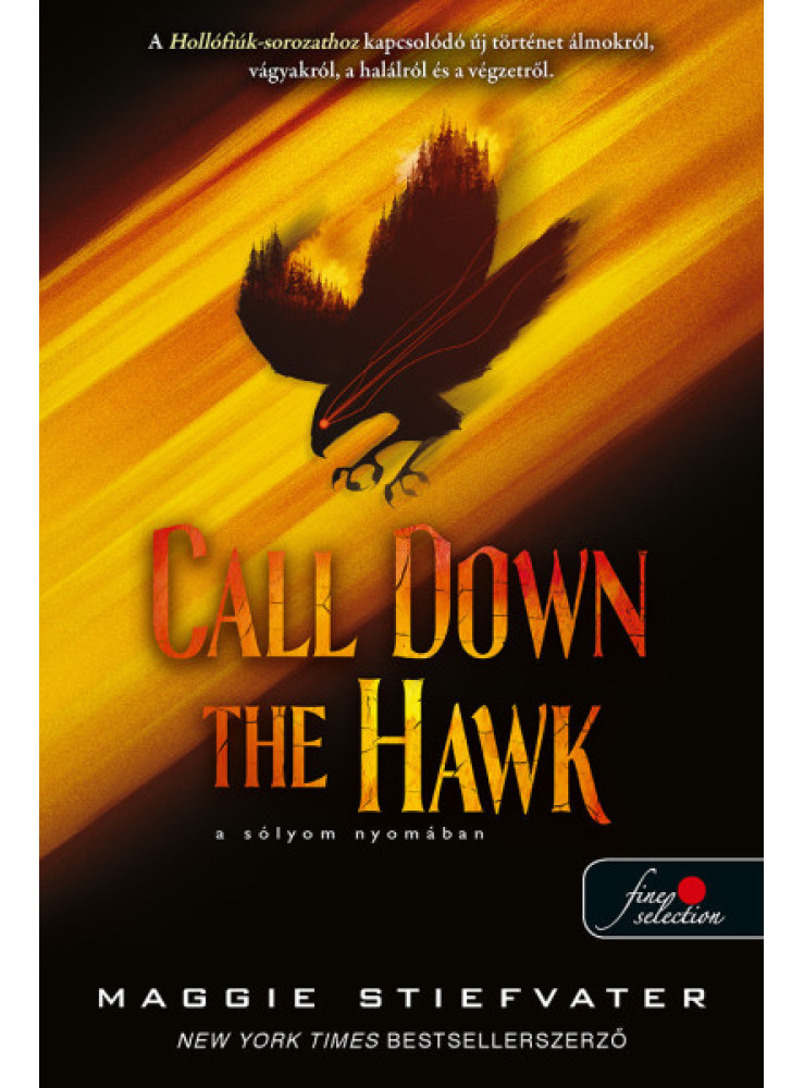 CALL DOWN THE HAWK - A SĂLYOM NYOMĂBAN (ĂLMODOK-TRILĂGIA 1.) CALL DOWN THE HAWK - A SĂLYOM NYOMĂBAN (ĂLMODOK-TRILĂGIA 1.)