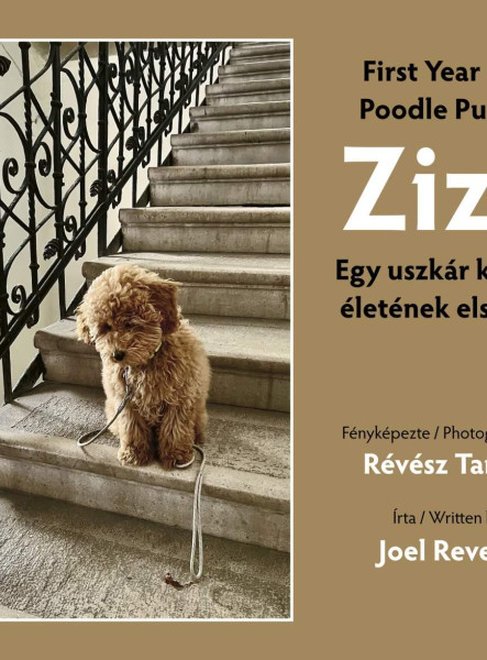 ZIZA - EGY USZKÁR KÖLYÖK ÉLETÉNEK ELSŐ ÉVE