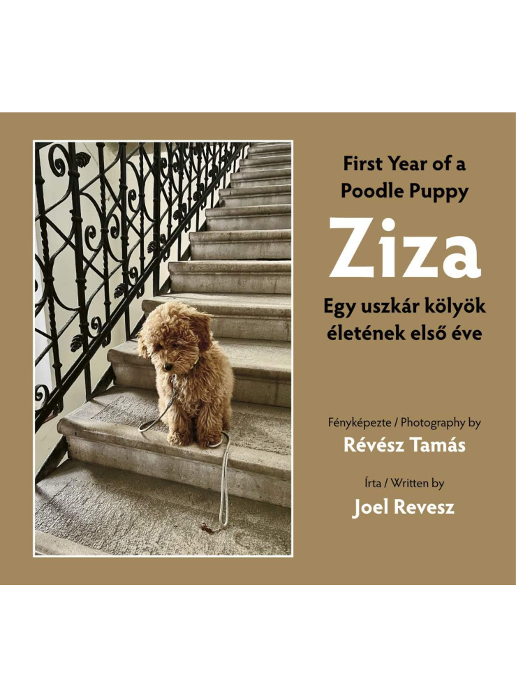 ZIZA - EGY USZKÁR KÖLYÖK ÉLETÉNEK ELSŐ ÉVE