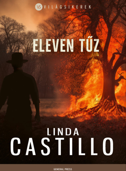 Eleven tűz (ekönyv)