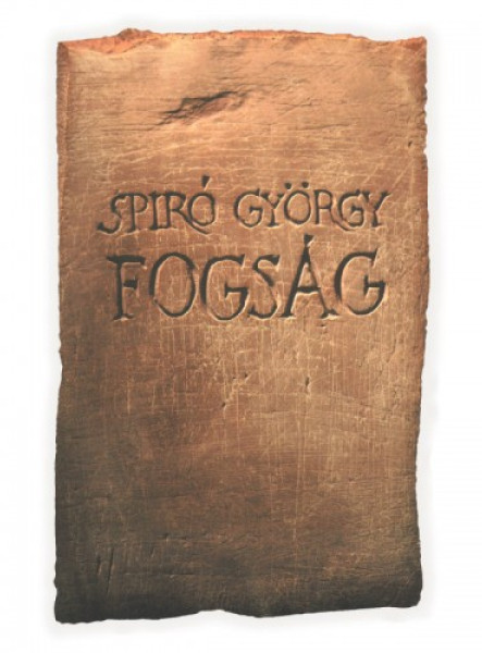 Fogság (ekönyv)