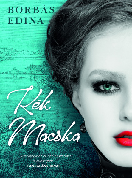 Kék macska (ekönyv)
