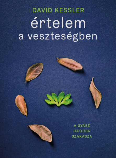 Értelem a veszteségeben (ekönyv)