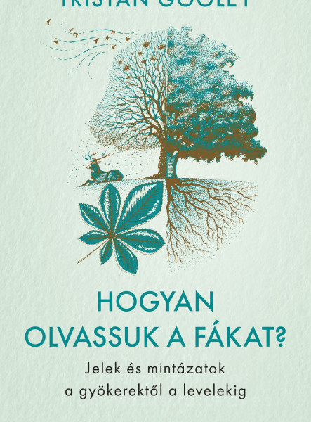 HOGYAN OLVASSUK A FÁKAT? - JELEK ÉS MINTÁZATOK A GYÖKEREKTŐL A LEVELEKIG