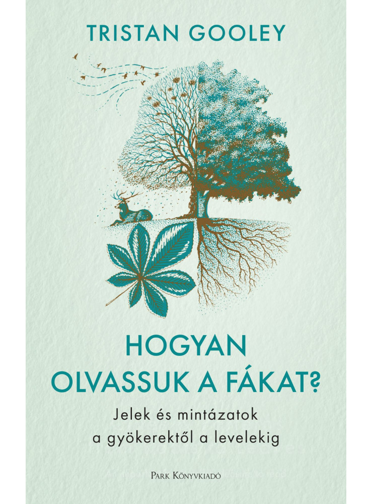 HOGYAN OLVASSUK A FÁKAT? - JELEK ÉS MINTÁZATOK A GYÖKEREKTŐL A LEVELEKIG