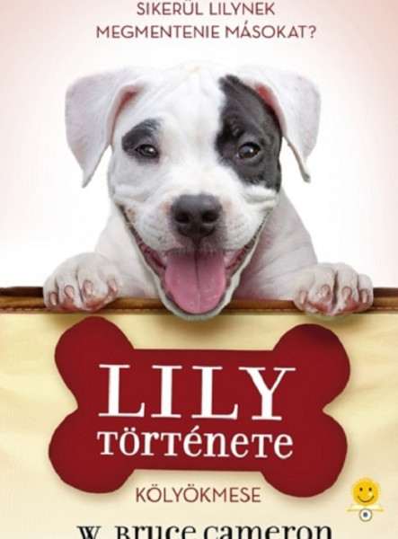 LILY TÖRTÉNETE - KÖLYÖKMESE