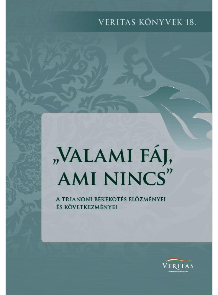 VALAMI FÁJ, AMI NINCS VALAMI FÁJ, AMI NINCS