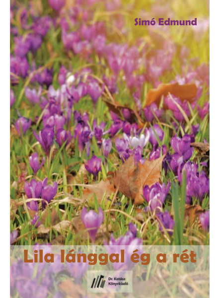 LILA LÁNGGAL ÉG A RÉT LILA LÁNGGAL ÉG A RÉT