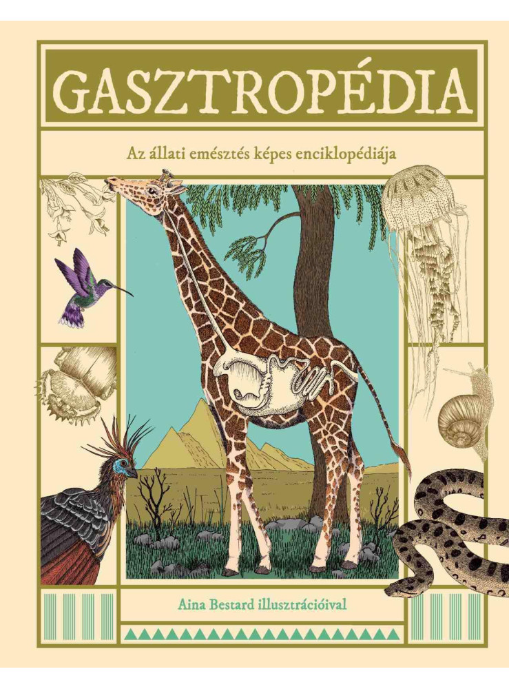 GASZTROPÉDIA - AZ ÁLLATI EMÉSZTÉS KÉPES ENCIKLOPÉDIÁJA GASZTROPÉDIA - AZ ÁLLATI EMÉSZTÉS KÉPES ENCIKLOPÉDIÁJA