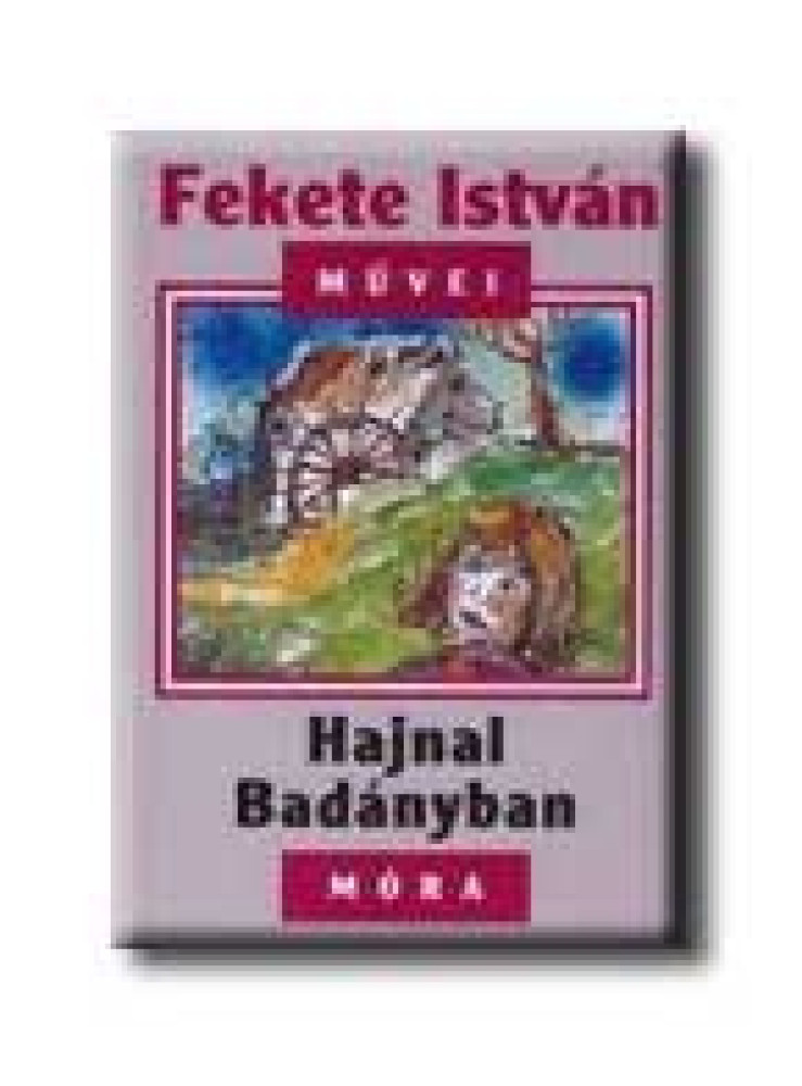 HAJNAL BADÁNYBAN HAJNAL BADÁNYBAN