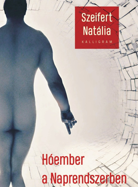 HÓEMBER A NAPRENDSZERBEN