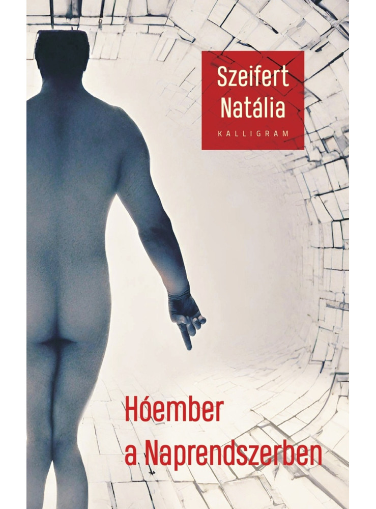 HÓEMBER A NAPRENDSZERBEN