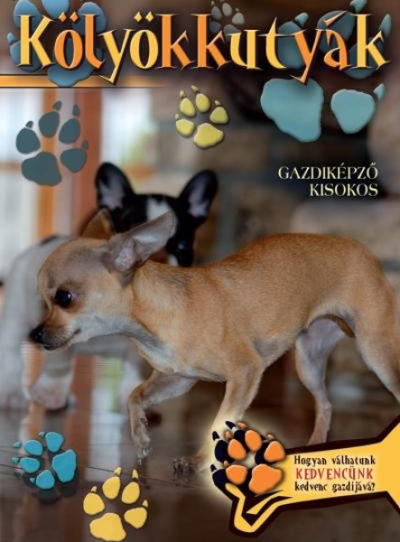 KÖLYÖKKUTYÁK - GAZDIKÉPZŐ KISOKOS
