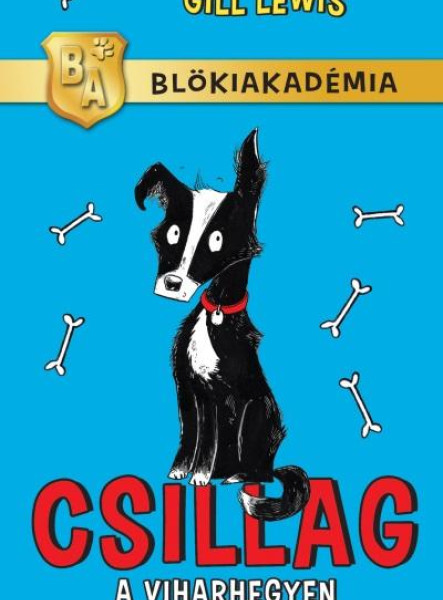 CSILLAG A VIHARHEGYEN - BLÖKIAKADÉMIA
