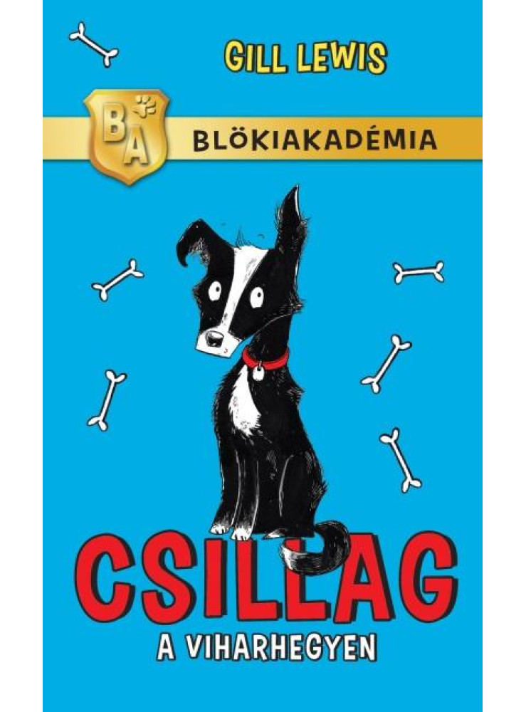 CSILLAG A VIHARHEGYEN - BLÖKIAKADÉMIA CSILLAG A VIHARHEGYEN - BLÖKIAKADÉMIA