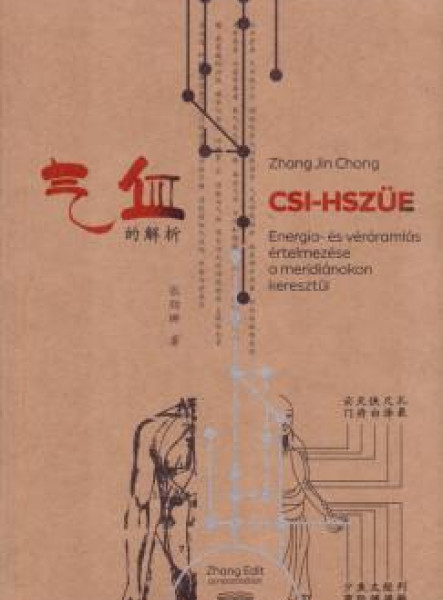 CSI-HSZÜE - ENERGIA ÉS VÉRÁRAMLÁS ÉRTELMEZÉSE A MERIDIÁNOKON KERESZTÜL