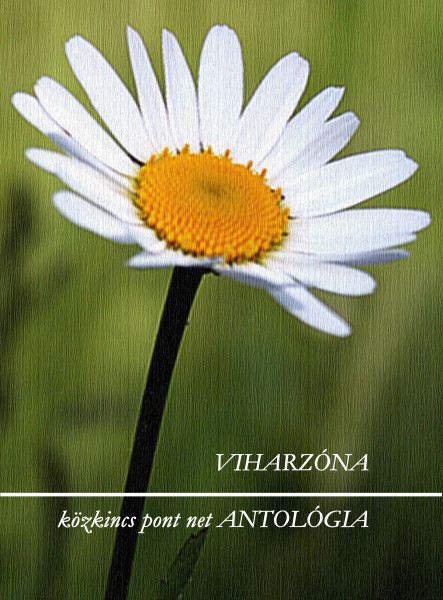 Viharzóna (ekönyv)
