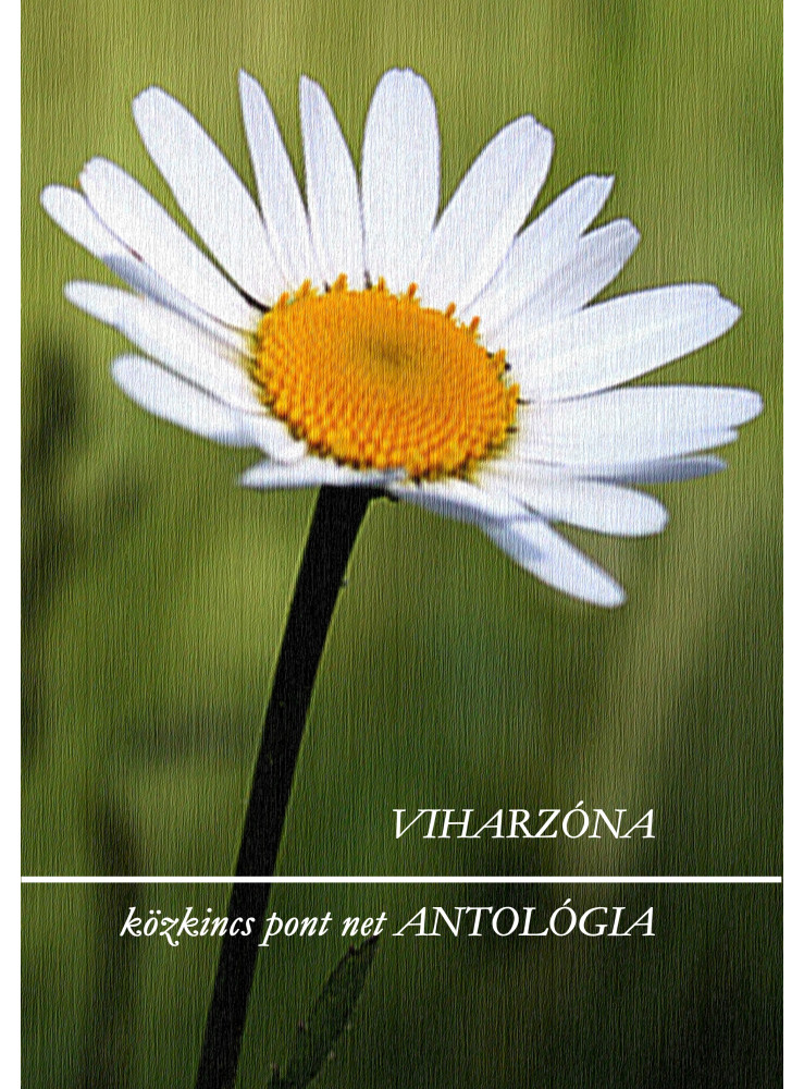 Viharzóna (ekönyv) Viharzóna (ekönyv)