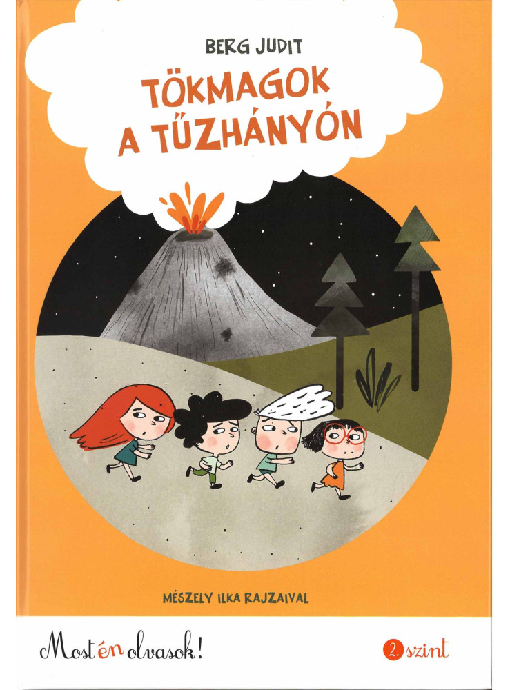 TÖKMAGOK A TŰZHÁNYÓN - MOST ÉN OLVASOK 2. SZINT ( ÚJ BORÍTÓ)