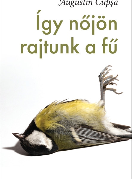 ÍGY NŐJÖN RAJTUNK A FŰ