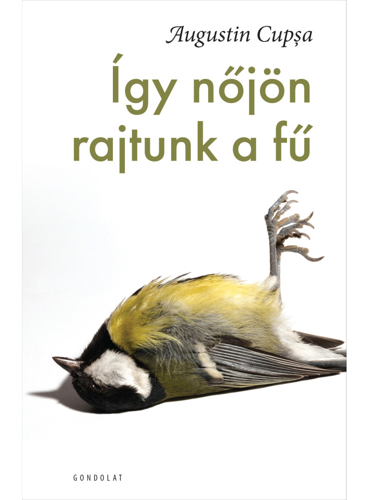 ÍGY NŐJÖN RAJTUNK A FŰ ÍGY NŐJÖN RAJTUNK A FŰ