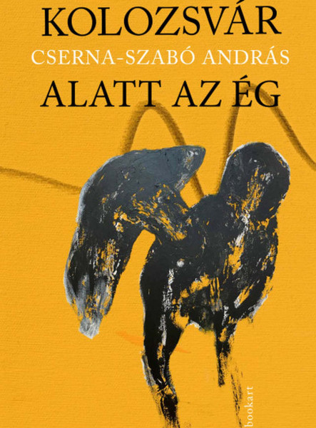 KOLOZSVÁR ALATT AZ ÉG