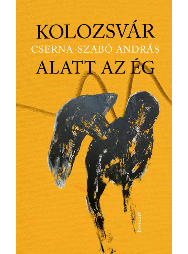 KOLOZSVÁR ALATT AZ ÉG KOLOZSVÁR ALATT AZ ÉG