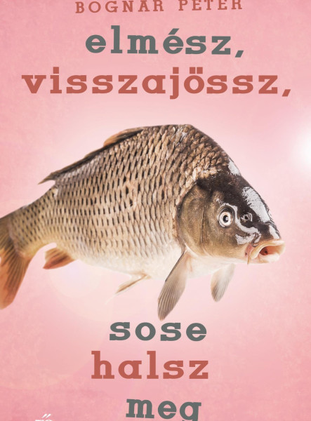 Elmész, visszajössz, sose halsz meg (ekönyv)