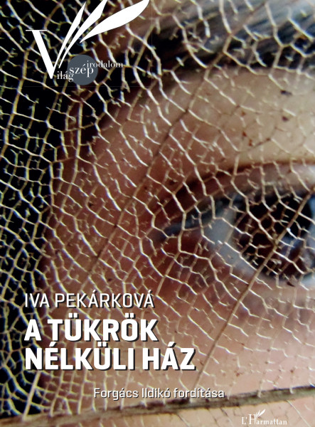 A TÜKRÖK NÉLKÜLI HÁZ