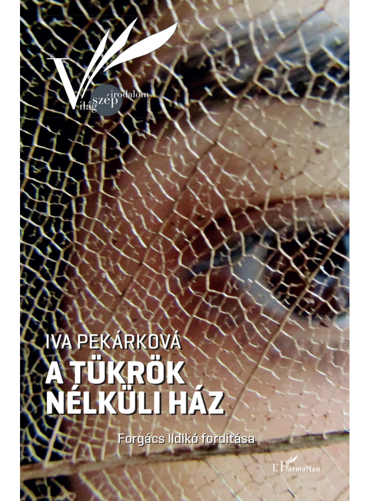 A TÜKRÖK NÉLKÜLI HÁZ A TÜKRÖK NÉLKÜLI HÁZ